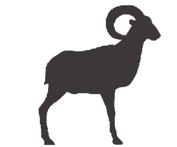 aoudad icon