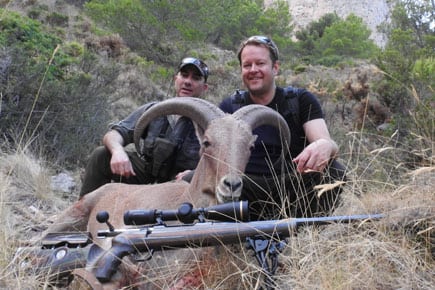 aoudad trophy hunter