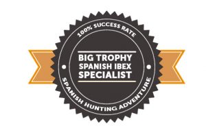 big-trophy-spanish-ibex-specialist