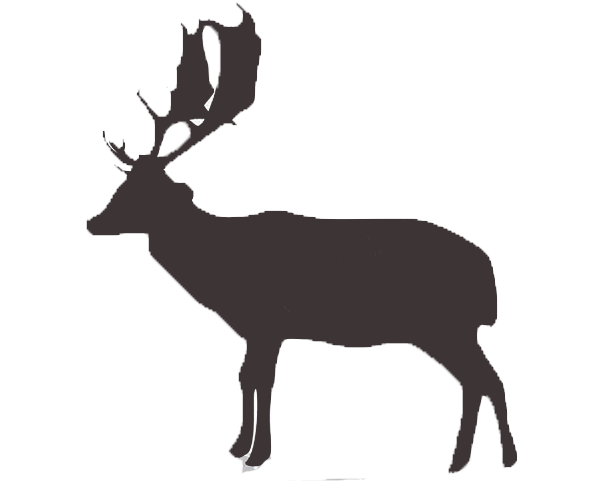 fallow deer icon