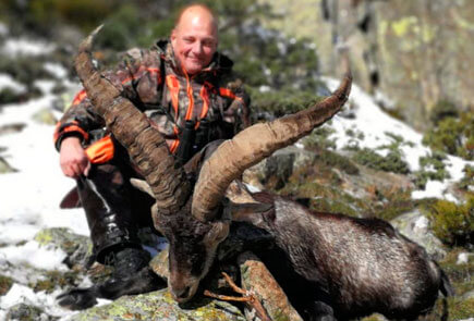 gredos ibex hunting