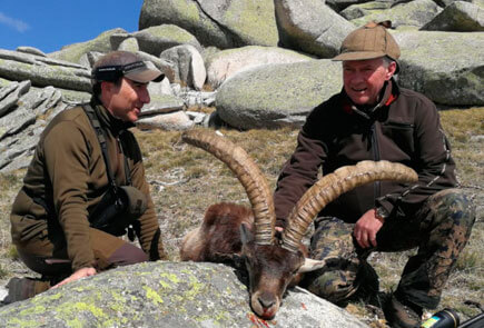 gredos ibex hunting