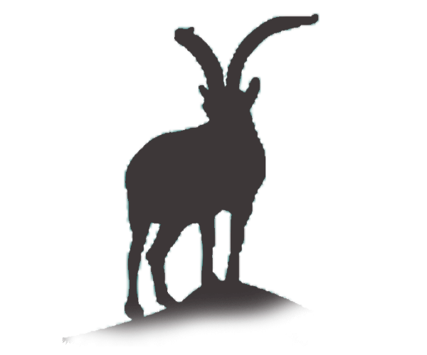 ibex icon