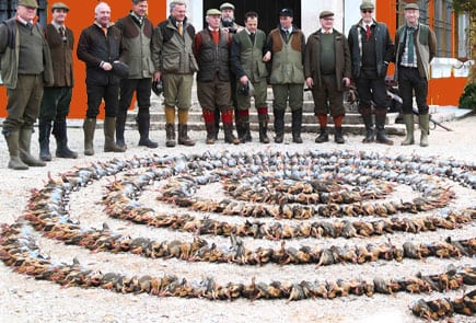 driven partridge shooting spain parade