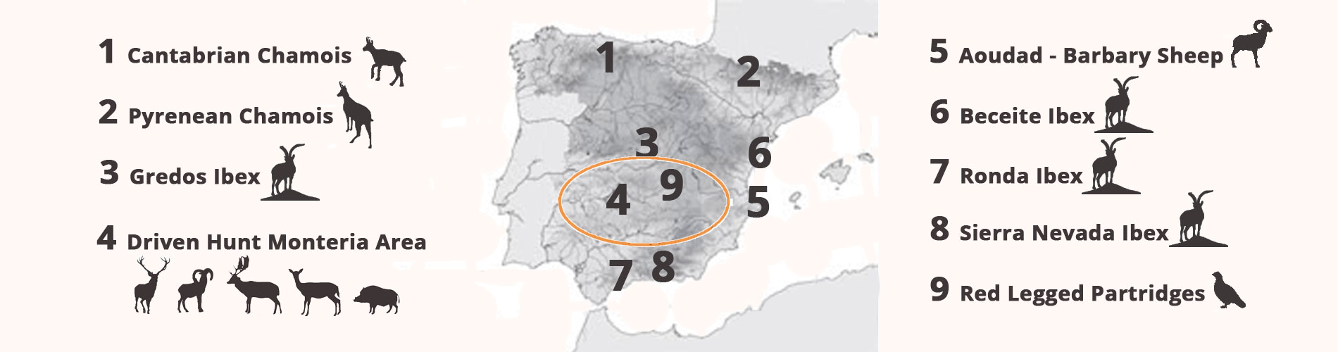 hunting areas spain