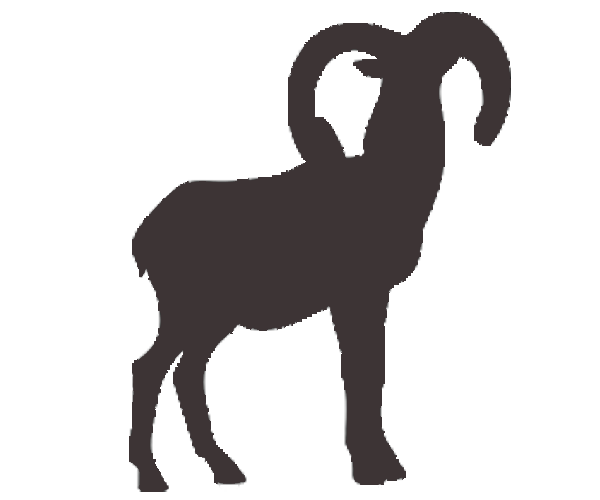 mouflon icon