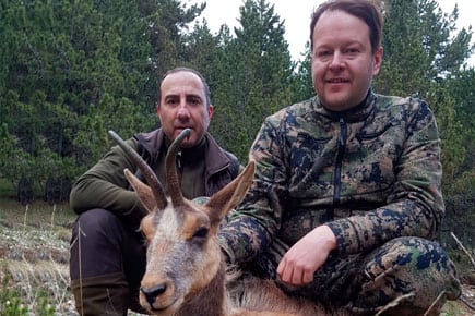 pyrenean chamois trophy with hunter