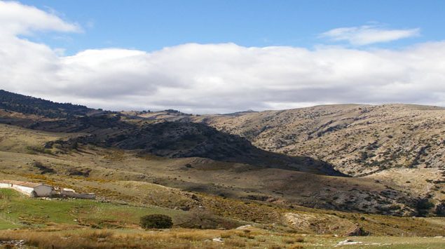 ronda ibex hunting landscape