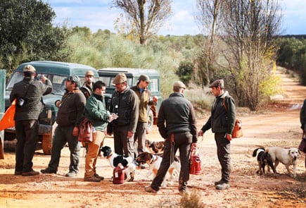 driven partridge shooting