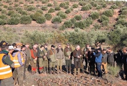 Driven Shooting Red Legged Partridges in Spain